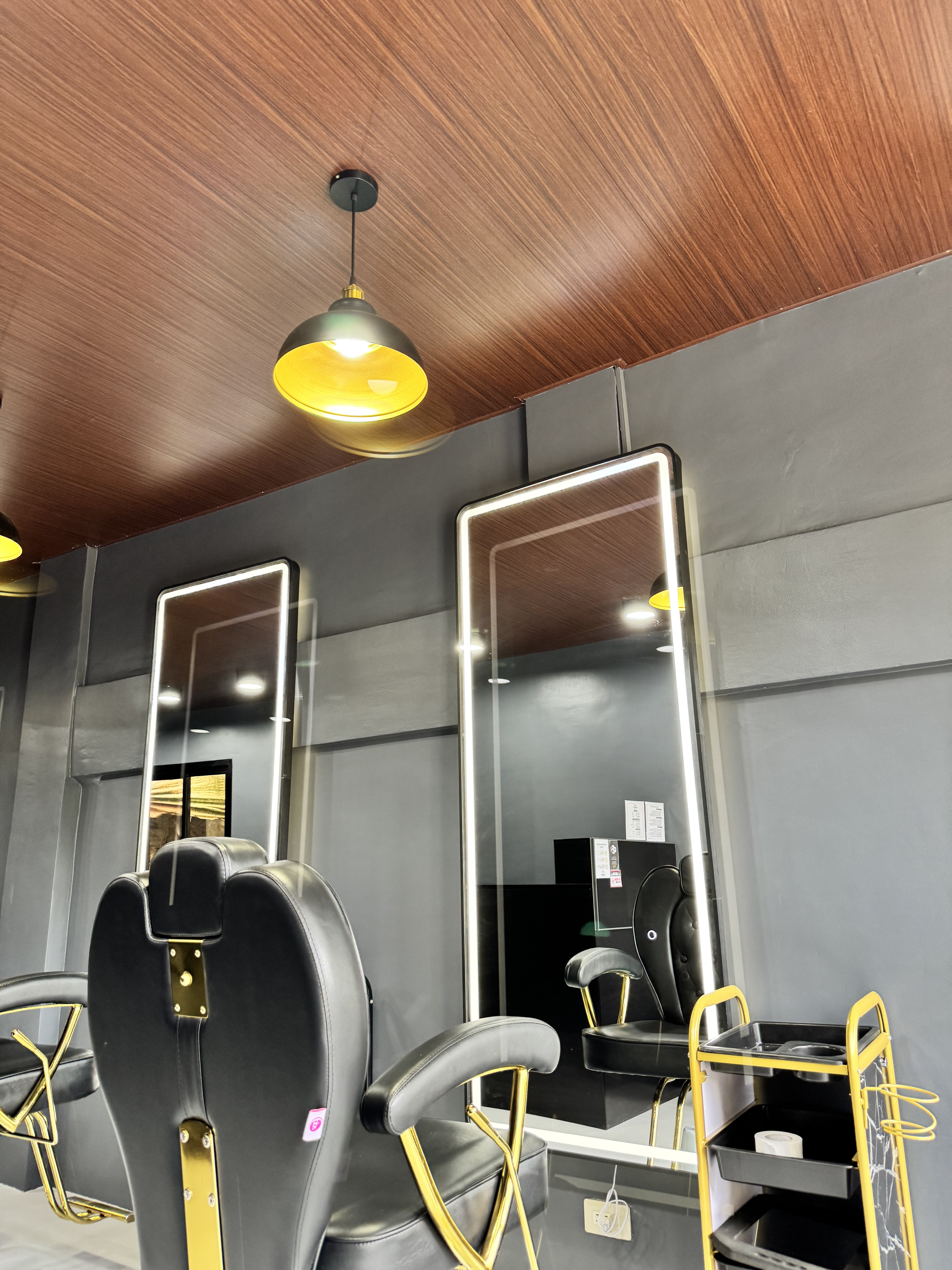 Barber chair and grooming station